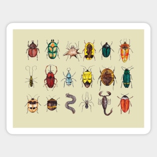 Further Entomology Illustrations Magnet